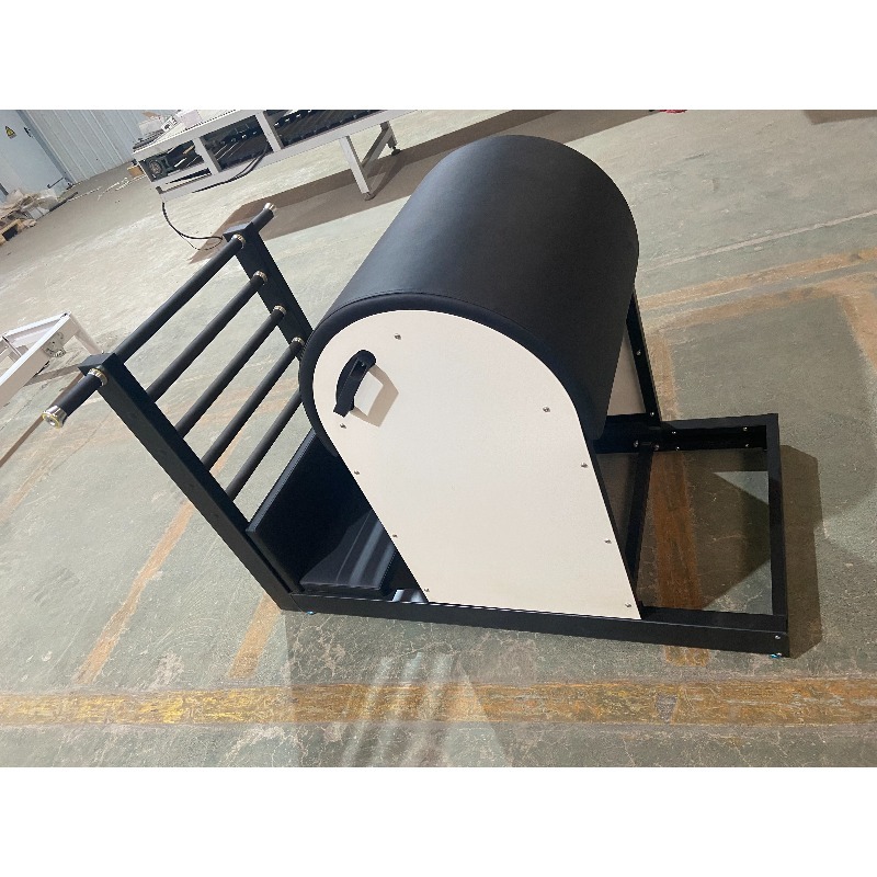 YTYIN Pilates Machine Ladder B - Pilates Yoga Machine recensione e prezzo